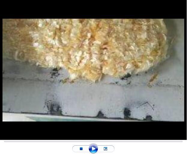 點擊查看詳細信息<br>標題：聚丙烯腈纖維生產中【視頻】 閱讀次數(shù)：2595